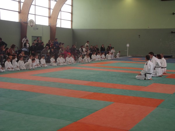 categorie eveil judo